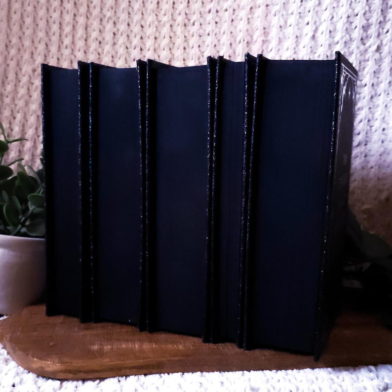 May include: A row of black books with textured spines, displayed on a wooden surface. The books have a glossy finish and are set against a textured, off-white backdrop. A small potted plant is visible on the left.