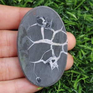 May include: A dark gray oval-shaped stone with a white dendritic pattern. The stone has a smooth, polished surface.