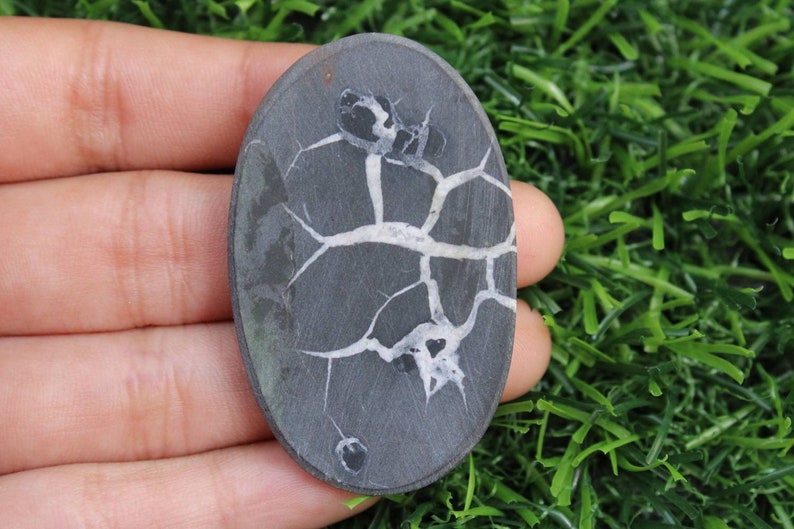 May include: A dark gray oval-shaped stone with a white dendritic pattern. The stone has a smooth, polished surface.