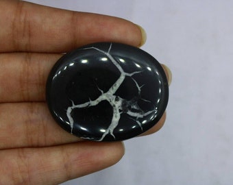 Könnte beinhalten: Ein ovaler Cabochon-Edelstein in Schwarz und Weiß mit einem weißen dendritischen Muster. Der Edelstein ist poliert und hat eine glatte Oberfläche.