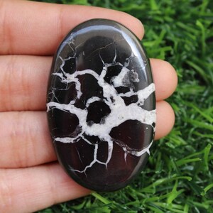 May include: A black and white oval-shaped polished stone with a tree-like pattern. The stone is smooth and has a high gloss finish.