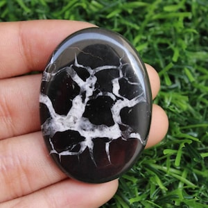 May include: Black and white oval shaped cabochon with a dendritic pattern. The stone is polished and has a smooth surface.