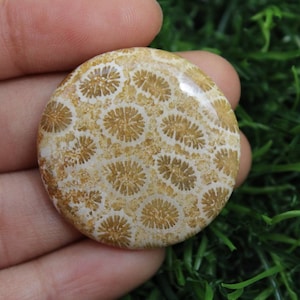 Amazing! Fossil coral cabochon,  Loose Gemstone, Beautiful Shaped Fossil Coral , Design Fossil Coral Cabochon 30×30mm