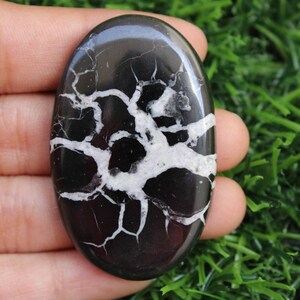 May include: A black and white oval-shaped polished stone with a dendritic pattern. The stone has a smooth, polished surface and a natural, organic shape.