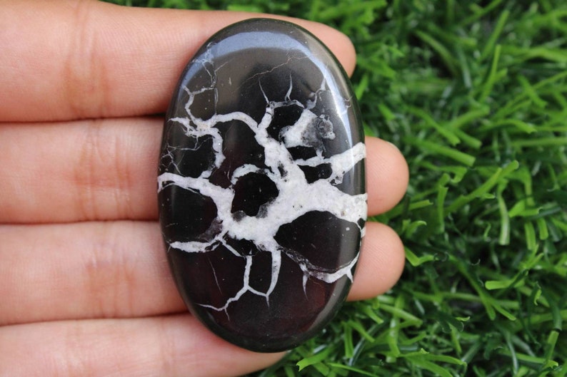 May include: A black and white oval-shaped polished stone with a dendritic pattern. The stone has a smooth, polished surface and a natural, organic shape.