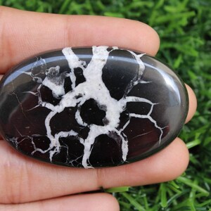 May include: A black and white oval-shaped polished stone with a dendritic pattern. The stone has a smooth, glossy finish.