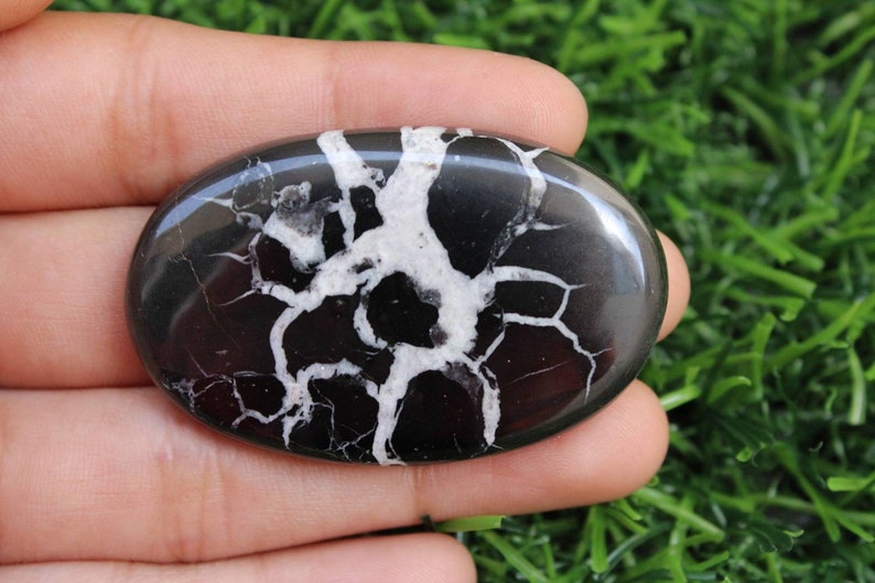 May include: A black and white oval-shaped polished stone with a dendritic pattern. The stone has a smooth, glossy finish.