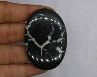 May include: A black and white oval cabochon gemstone with a polished surface. The stone has a unique pattern of white veins running through the black base.