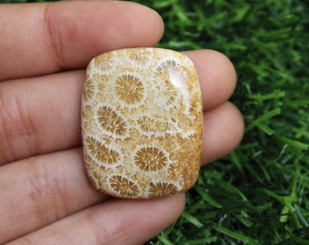 100% Natural Fossil Coral Gemstone, Beautiful Quality Fossil Cabochon, Fossil Coral Loose Stone For Jewelry Making gift for her 39×23mm