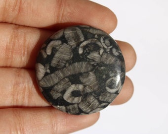 Piedra preciosa de coral fósil negro natural, forma mixta, diseño de coral fósil negro, coral fósil negro suelto para fabricación de joyas, 32 × 32 mm