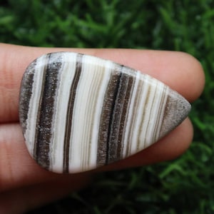 Top Quality! Natural Zebra Argonite,Natural Zebra Argonite Handmade Zebra Argonite Cabs loose semi precious stone for jewellery use 34×25MM