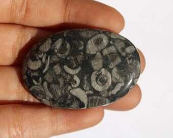 Piedra preciosa de coral fósil negro natural, forma mixta, diseño de coral fósil negro, coral fósil negro suelto para fabricación de joyas, 41 × 28 mm