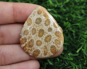 100% naturalny kamień szlachetny z korala kopalnego, piękny wysokiej jakości kaboszon z korala kopalnego, luźny kamień z korala kopalnego do wyrobu biżuterii prezent dla niej 34×29 mm