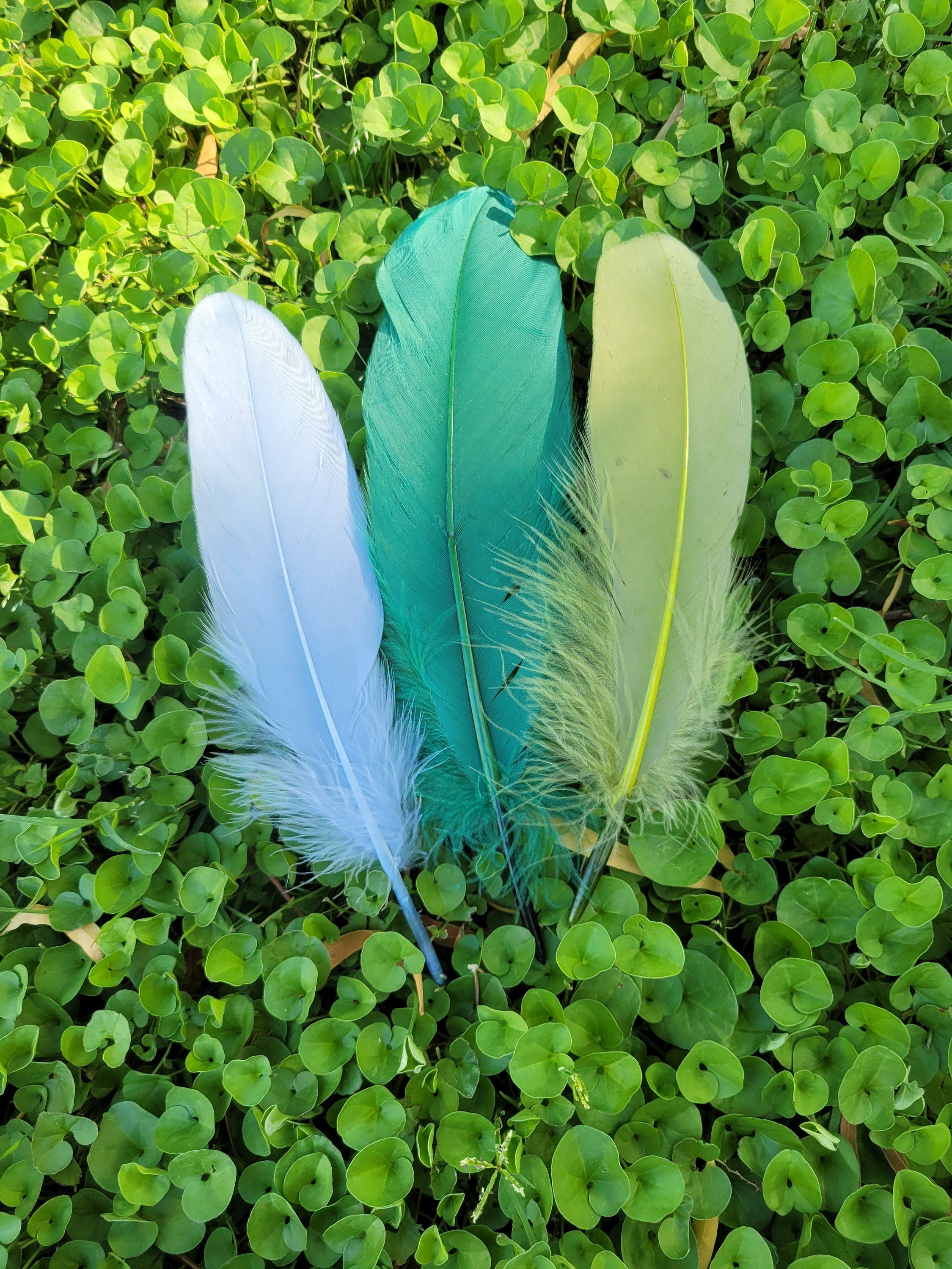 Goose Feathers Natural Dark Green Dyeing Bulk Genuine Featherscosplay  Feathersparty Decoratehalloween Featherscraft Feather 6-8 Inches 