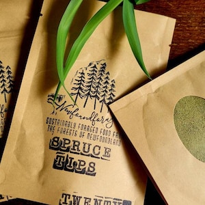 May include: Three brown paper pouches with black text reading "Newfoundland" and "Spruce Tips". One pouch has a clear oval window revealing green contents. Green grass blades are placed on top. The text reads "Sustainably foraged food from the forests of Newfoundland."