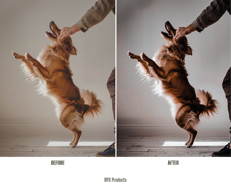 May include: A golden retriever dog jumps up in the air with its mouth open, as a person's hand reaches down to pet it. The dog is in focus, while the person's hand and arm are blurred. The background is a light gray wall.