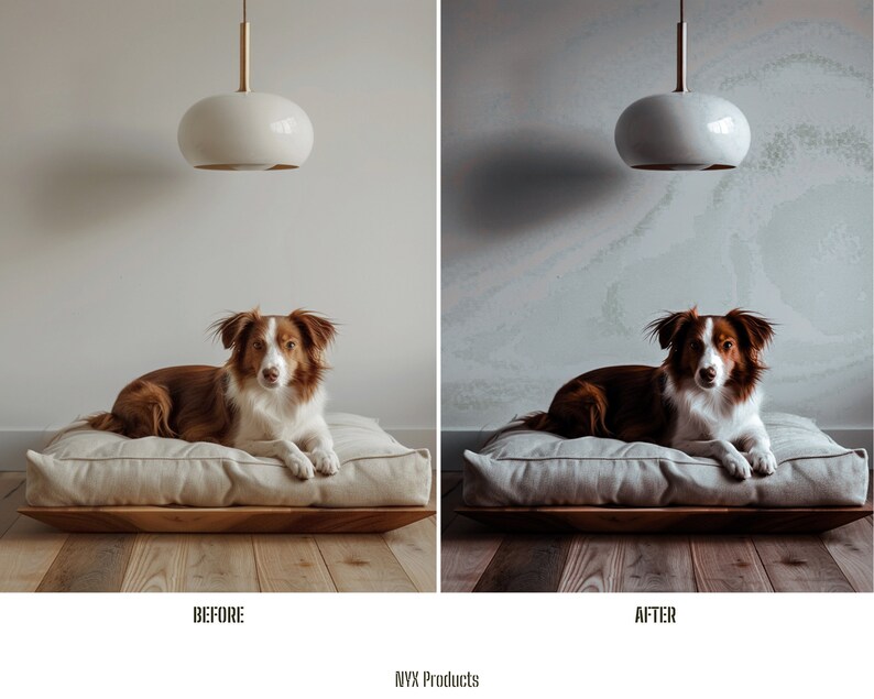 May include: A brown and white dog laying on a light brown dog bed with a white, round pendant light hanging above. The dog bed is on a wooden floor. The image is split into two sections, showing the same scene before and after a filter is applied. The "Before" image has a white wall, while the "After" image has a light gray wall with a subtle pattern.