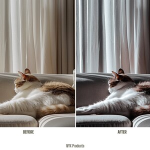 May include: A before and after image showing the difference in lighting and color correction. The image shows a cat sleeping on a couch in front of a window with curtains. The before image is darker and has a yellow cast. The after image is brighter and has a more natural color balance.