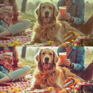 25 Color Pop LUTs for Color Grading Video and Photo for Mobile and Desktop || For Other Vİdeo Programs image 3