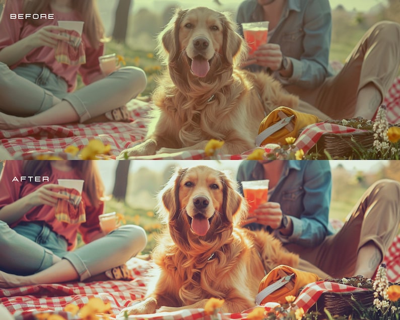 25 Color Pop LUTs for Color Grading Video and Photo for Mobile and Desktop || For Other Vİdeo Programs image 3