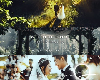 20 Wedding LUTs for Color Grading Video and Photo for Mobile and Desktop || For Other Vİdeo Programs
