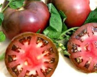 20 Tomato Cherokee Purple seeds Rare Non GMO Fresh seed Hardy crops Tasty and easy to grow on patio or garden Limited Supply Order Now