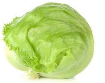 20 Iceberg Lettuce seeds Non GMO Tasty and crispy Easy to grow Limited Supply Order Now