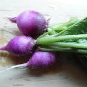 Puede incluir: Tres rábanos morados con tallos y hojas verdes. Los rábanos están sobre una superficie de madera.