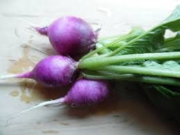 20 Radish Purple plum summer seed Non GMO tasty and easy  seeds for planting home garden seeds Plus Free gift Limited Supply Order Now!