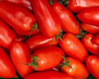 20 San Marzano Tomato seeds Italian paste Rich and tasty Non GMO, Plant on patio or garden Limited Supply Order Now