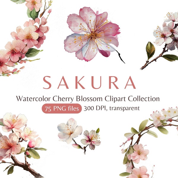 Sakura Cherry Blossom Clipart, Watercolor Japanese Blossoms, Spring Floral Wreaths, Pink Sakura Branches, Floral PNG, Floral Clip Art