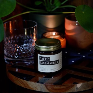 DARK ACADEMIA vintage library candle cozy reading corner fragrance candle cozy reading accessories bookworm unique gift for book lovers gift