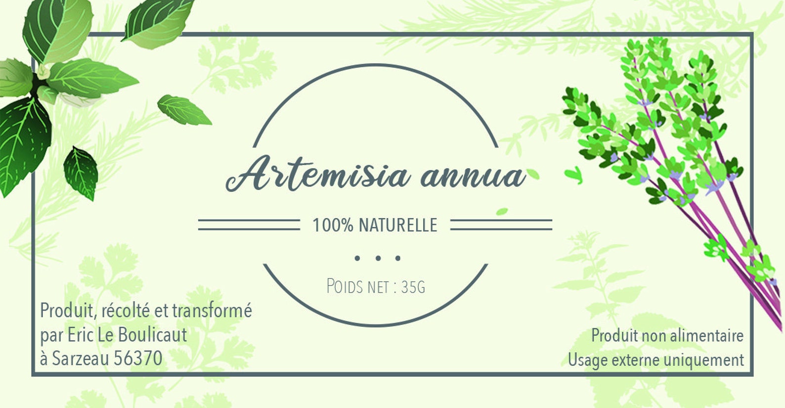 Artemisia Annua Séchée - 1kg Sous Vide - Pour Infusions Et Compléments - Qualité Alimentaire