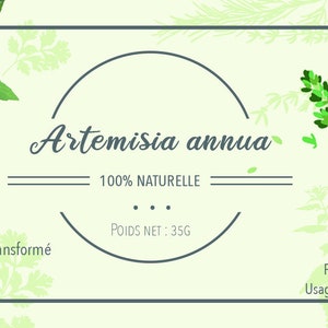 Artemisia annua artisanale entière séchée image 4