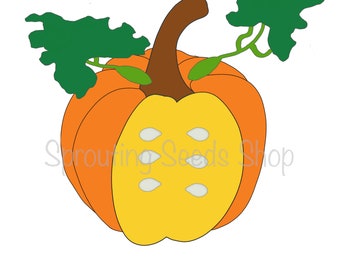 Parts of a pumpkin diagram