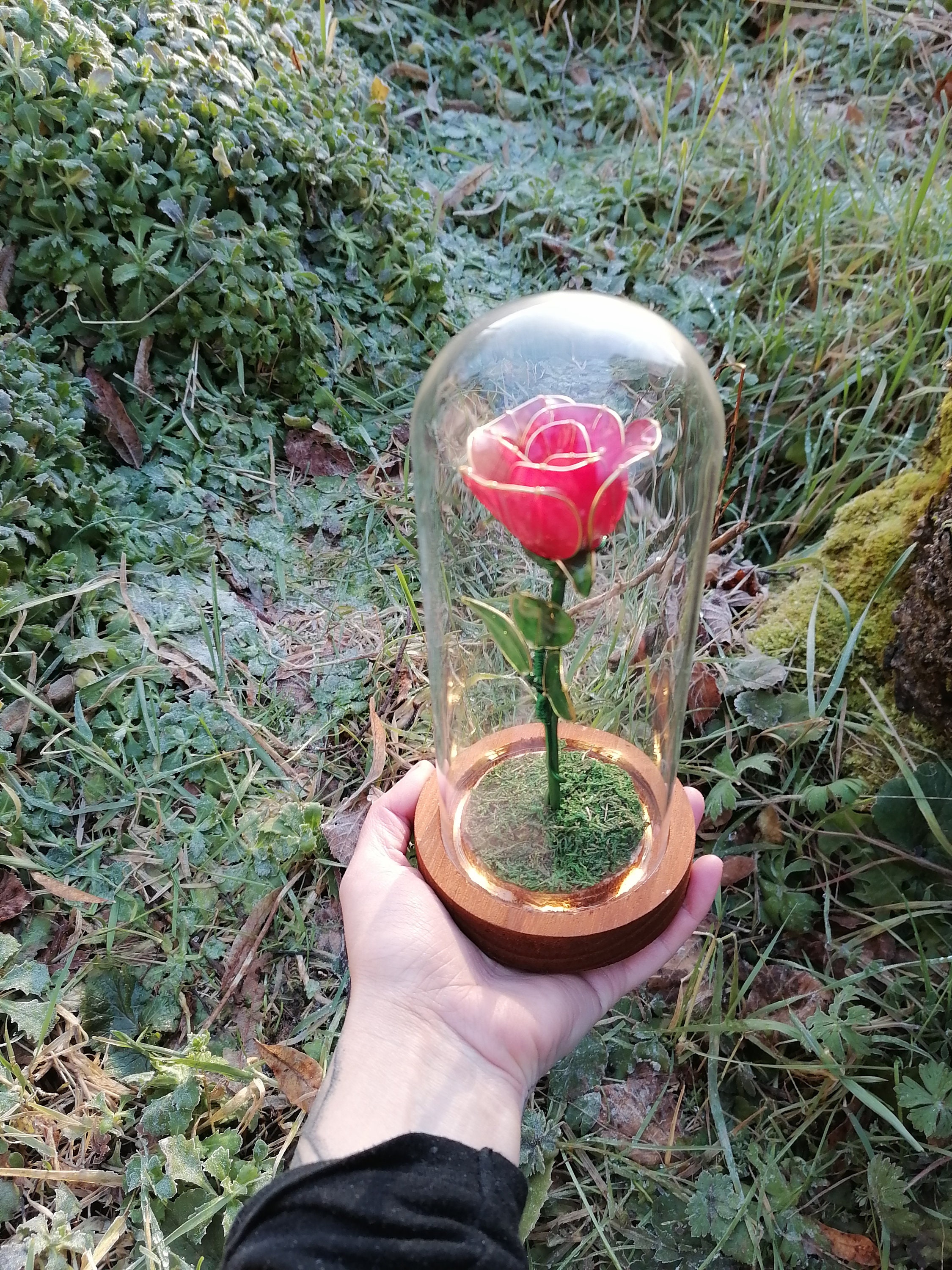 Rose Eternelle Sous Cloche de Verre Lunimeuse