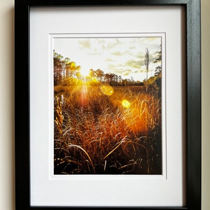 Grassy Field Len Flare Photo. Landscape print for interior design. Wall art, decor.