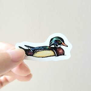 Adesivos de pato: pinturas em aquarela de patos da América do Norte, adesivos de vinil brilhantes à prova d'água, patos do Canadá, EUA, presente para observadores de pássaros e caçadores
