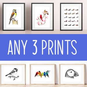 ANY 3 BIRD PRINTS - art prints 5x7, 8x10, 8.5x11, duck, chickadee, cardinal, jay, watercolor painting, birder, birdwatcher, free shipping