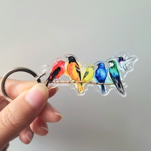 Porte-clés : oiseaux de la fierté arc-en-ciel - breloque porte-clés en acrylique art de la fierté subtile, fierté LGBTQ+, homosexuel, fierté gaie, drapeau de la fierté, lesbienne, bi, gay, trans