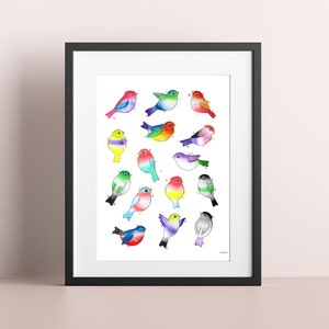 Op de afbeelding: Een ingelijste kunstdruk met een verzameling kleurrijke aquarel illustraties van vogels. Elke vogel is afgebeeld in een unieke pose en kleurenpalet, waaronder tinten roze, blauw, groen, geel en paars. Het kunstwerk is ingelijst in een zwart frame.