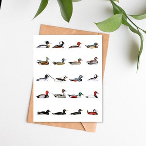 Carte de Noël Canards d'Amérique du Nord avec enveloppes - carte de vœux aquarelle oiseau, art de canard, ornithologues amateurs, chasseurs, chasse au canard, art de la sauvagine