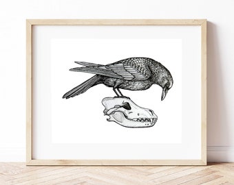 May include: Black and white illustration of a bird perched on a dog skull. The bird is detailed with textured feathers, and the skull has visible teeth. The artwork is framed in a light wood frame, creating a minimalist aesthetic.