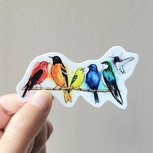 Adesivo: Rainbow Pride Birds - Vinile 3x1,5 pollici, Acquerello, LGBTQ+ Pride, Gay Pride, Bandiera dell'orgoglio, Lesbica, Bisessuale, Gay, Trans, Queer