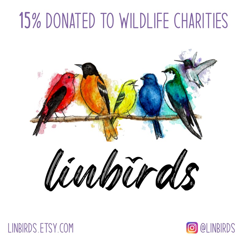 May include: Watercolor illustration of six colorful birds perched on a branch. The birds are red, orange, yellow, blue, and green. The text "linbirds" is written in cursive below the birds, with the text "15% DONATED TO WILDLIFE CHARITIES" above.