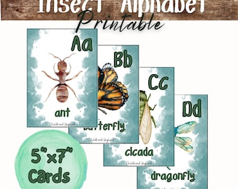 Alphabet sur le thème des insectes imprimable | Décor de classe d’insectes | Flashcards alphabet sur le thème des insectes | Imprimable préscolaire | Élémentaire