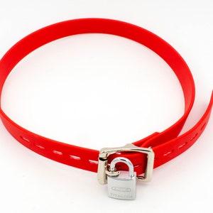 Lockable strap
