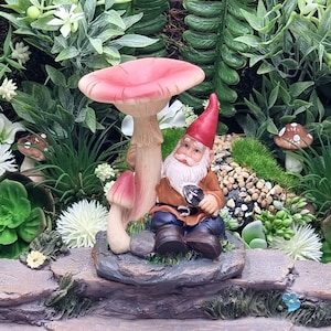 May include: A miniature garden scene with a gnome sitting under a red and white mushroom. The gnome is holding a small object in its hand. The scene is surrounded by green plants, white flowers, and brown mushrooms.