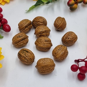 Set of 10 artificial nuts, decor nuts, autumn nuts, autumn decoration, nut decoration, realistic nuts, artificial fruit, for crafts image 1