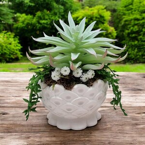 Può includere: Un vaso di ceramica bianca con una superficie testurizzata, che presenta una pianta grassa verde con fiori bianchi.